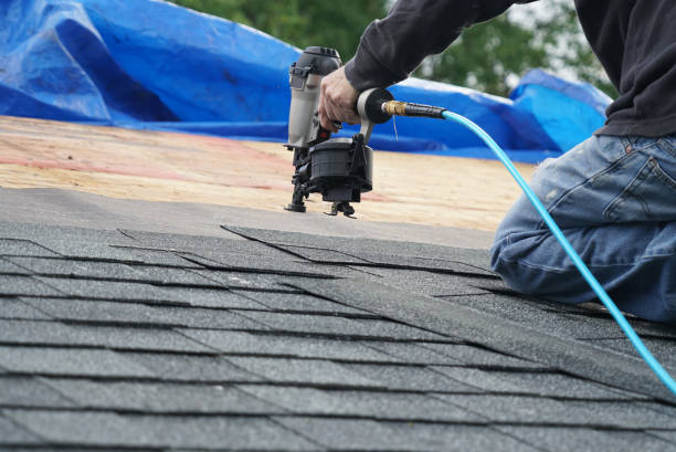 Best Roof Gutter Cleaning  in Canaan, CT