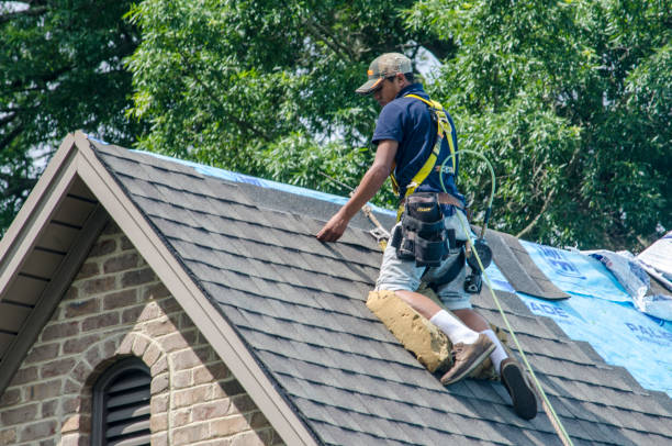 Best Shingle Roofing Installation  in Canaan, CT
